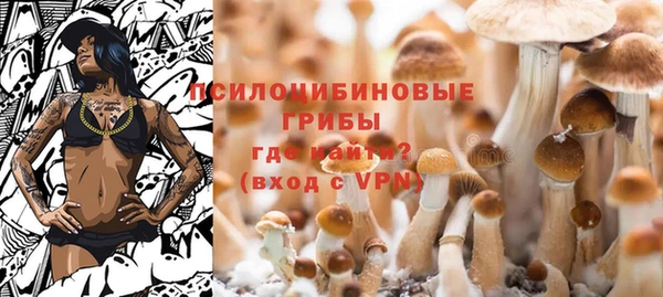 стаф Михайлов