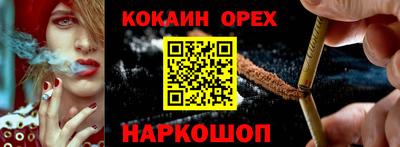 шишки Донской