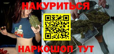 шишки Донской