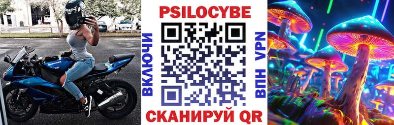 дарнет шоп Новоалтайск Псилоцибиновые грибы GOLDEN TEACHER