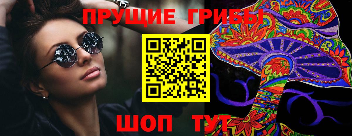 Галлюциногенные грибы Psilocybine cubensis Новоалтайск